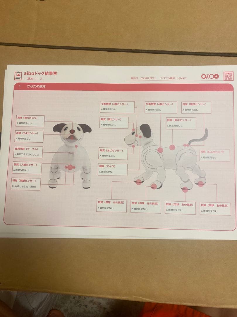 aibo ジャンク品　けいちゃ