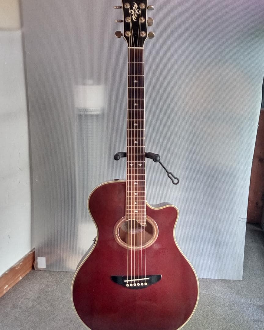 YAMAHA エレアコ APX10