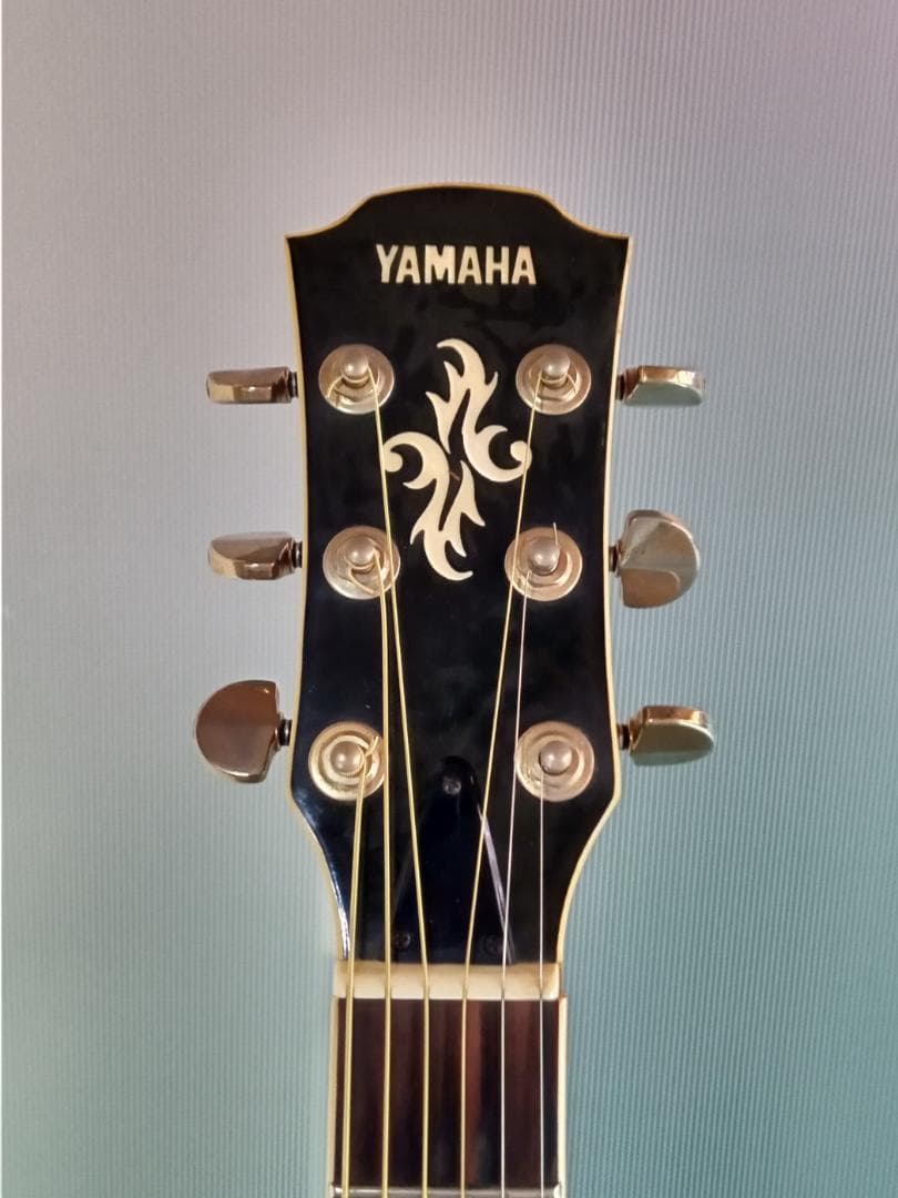 YAMAHA エレアコ APX10