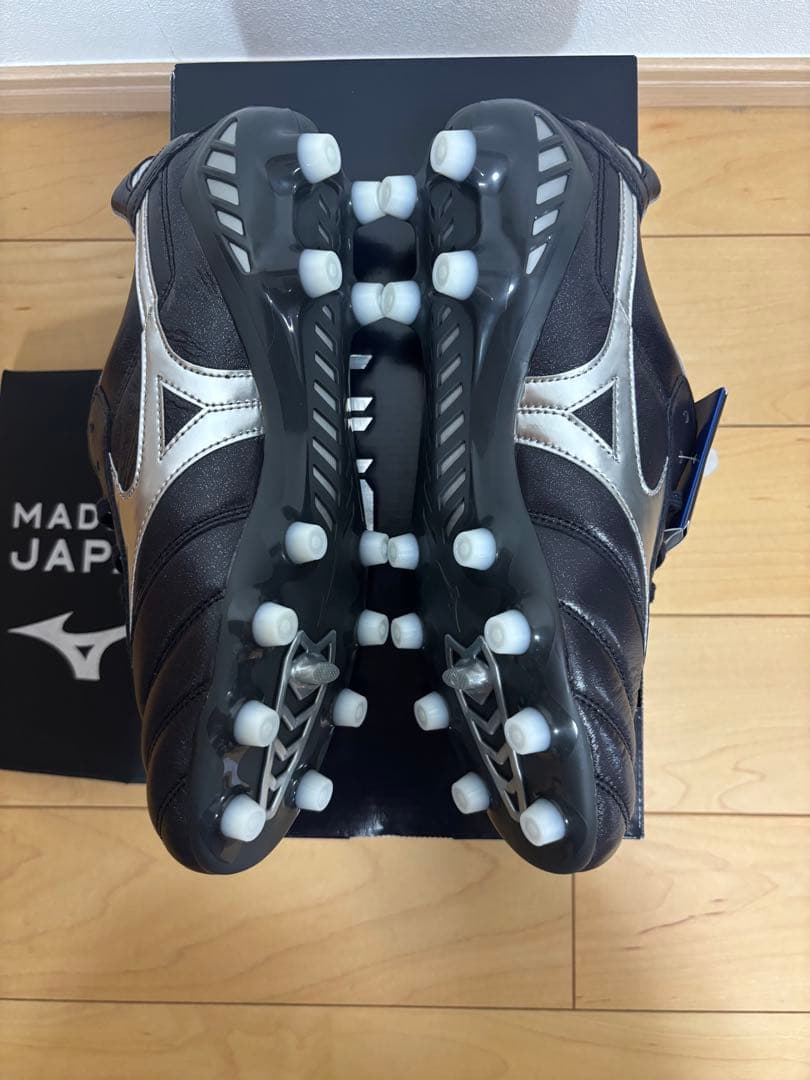 モレリア DNA japan