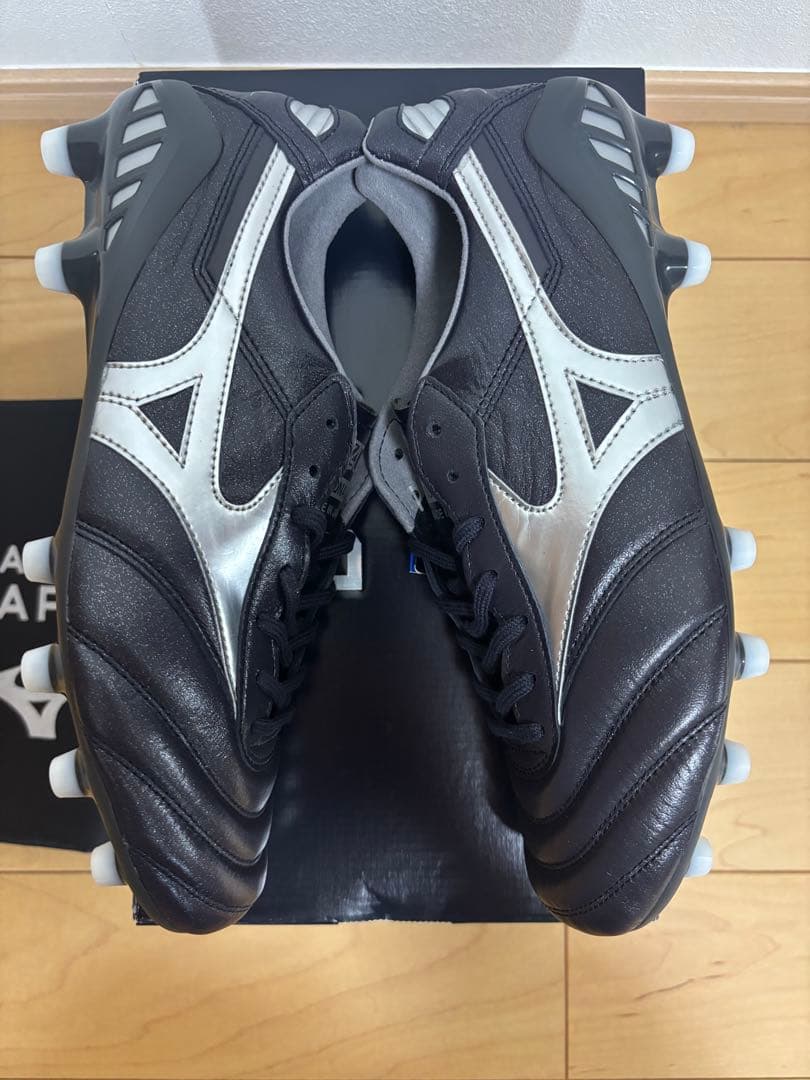 モレリア DNA japan