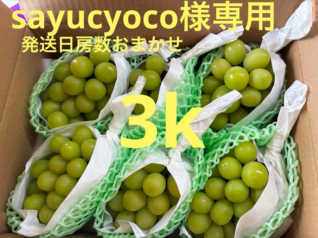 ★sayucyoco★シャインマスカット3k