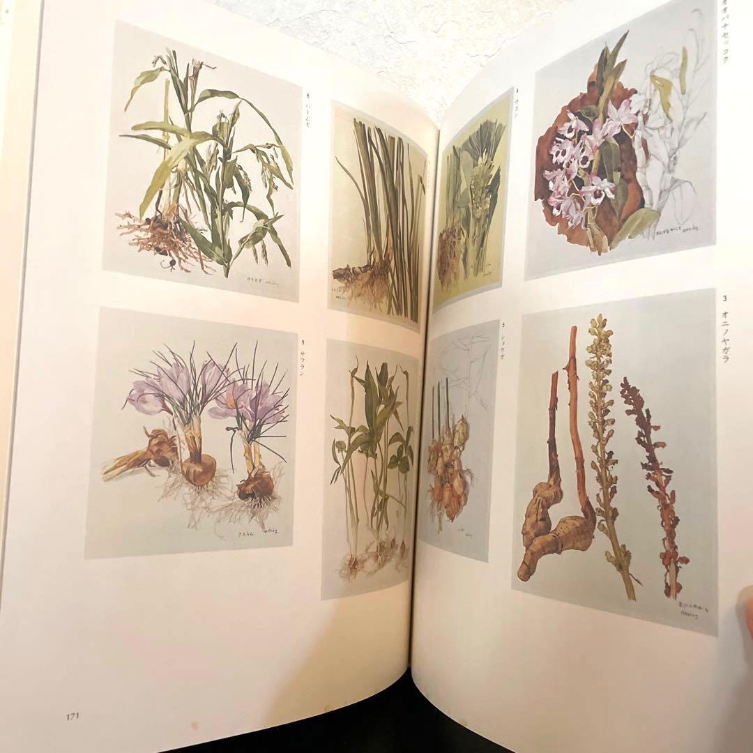 小磯良平　BOOK WORK ブックワーク　特装本　限定品