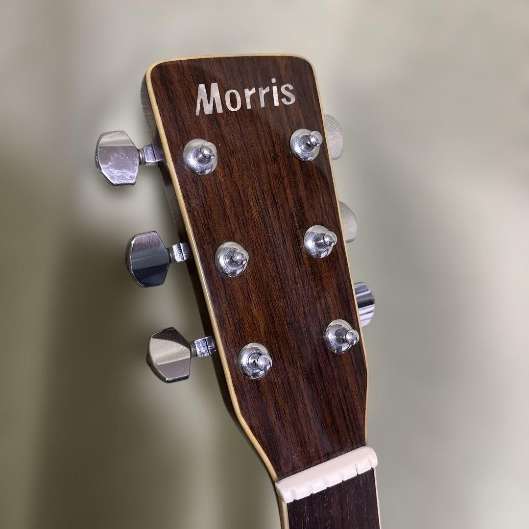 Morris Special W-35 ハードケース　ストラップ　ゴム式カポ付き