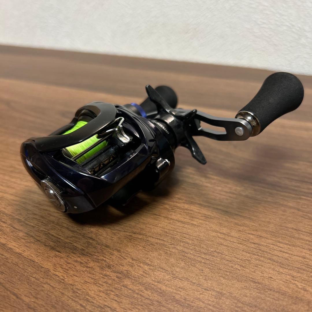 ソルティスト DAIWA SALTIST TW 100XH L 1個