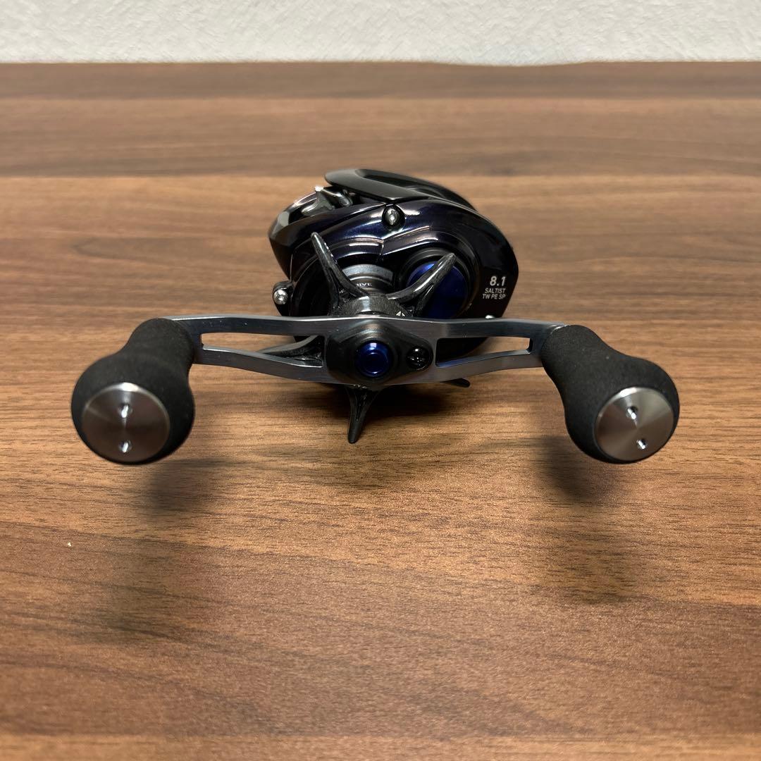 ソルティスト DAIWA SALTIST TW 100XH L 1個