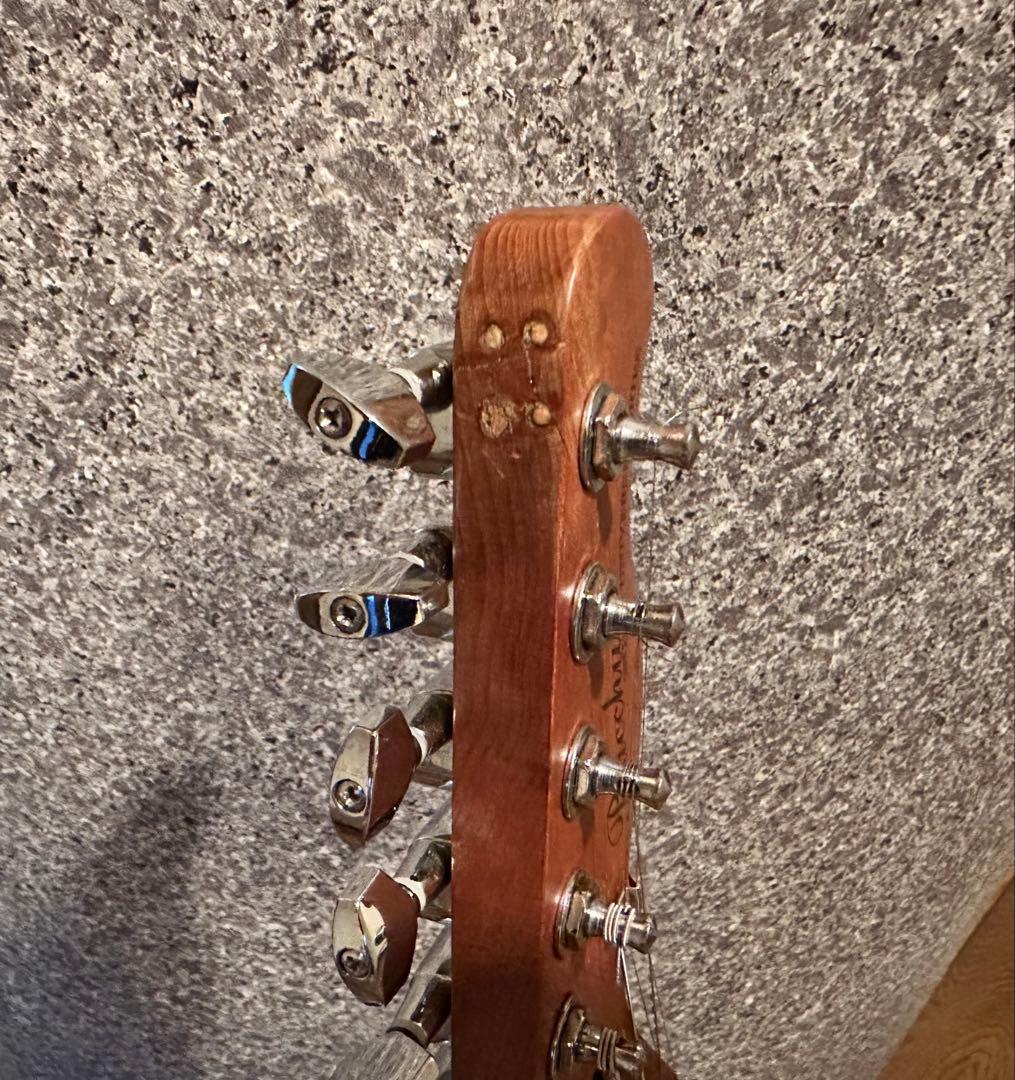 【怒犬-Dokken-】バッカス ユニバース テレキャスBTE-3改