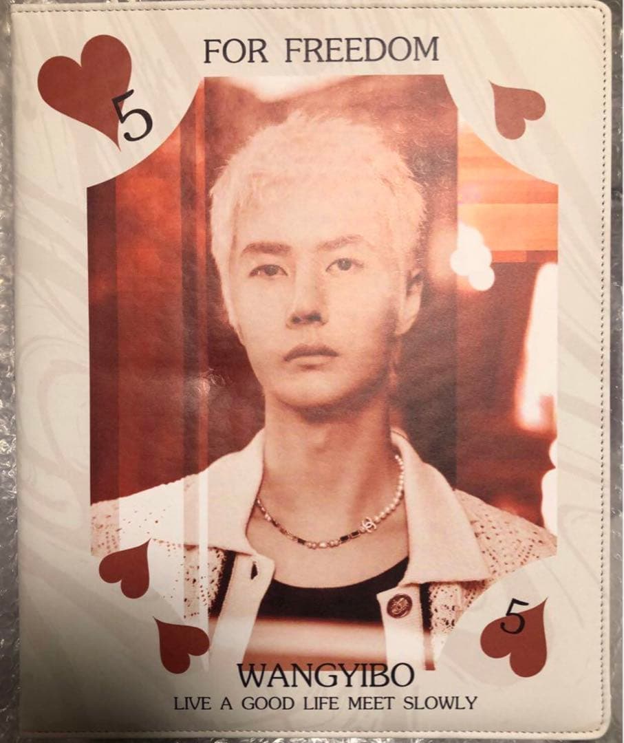 王一博 カードバインダー＋A4・Pカード他リフィル50枚付 アルバム w写真集