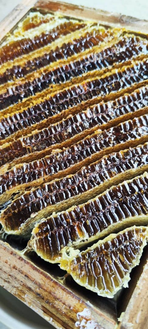 日本蜜蜂　結晶化はちみつ　非加熱　京都　京北産　　600g×3