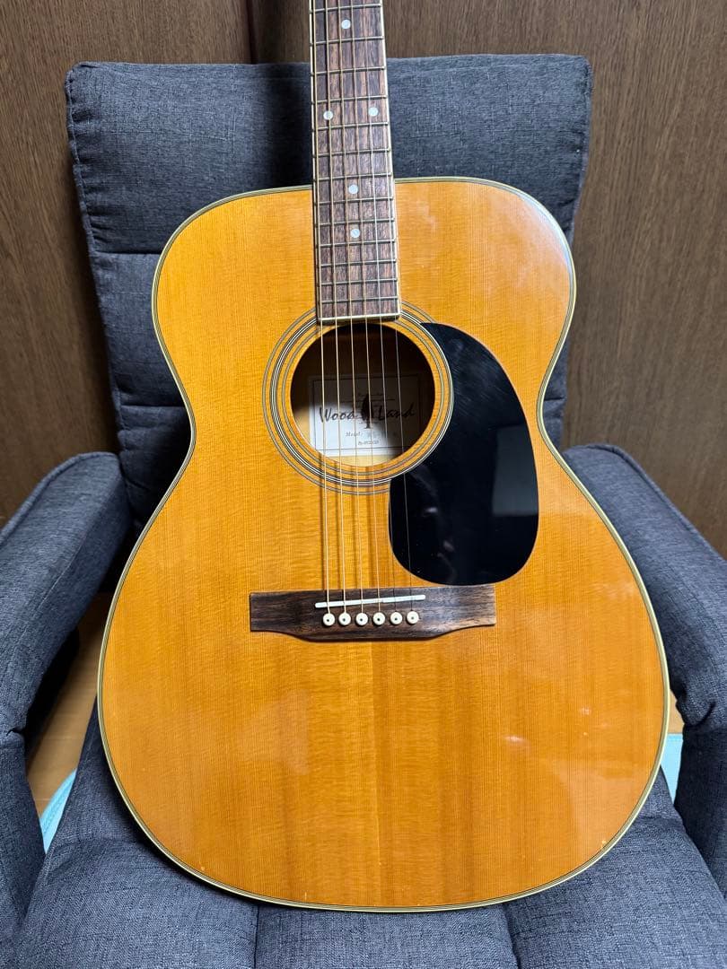 初心者の方必見‼️小振りなwood land‼️調整済み‼️弾き易くセッティング‼️