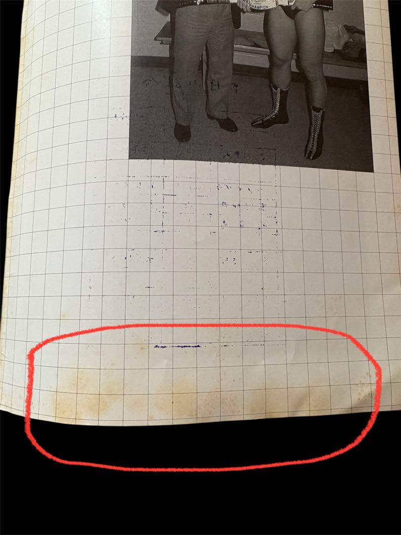 UWF★オープニングシリーズ★大会ポスター・全券・パンフレット