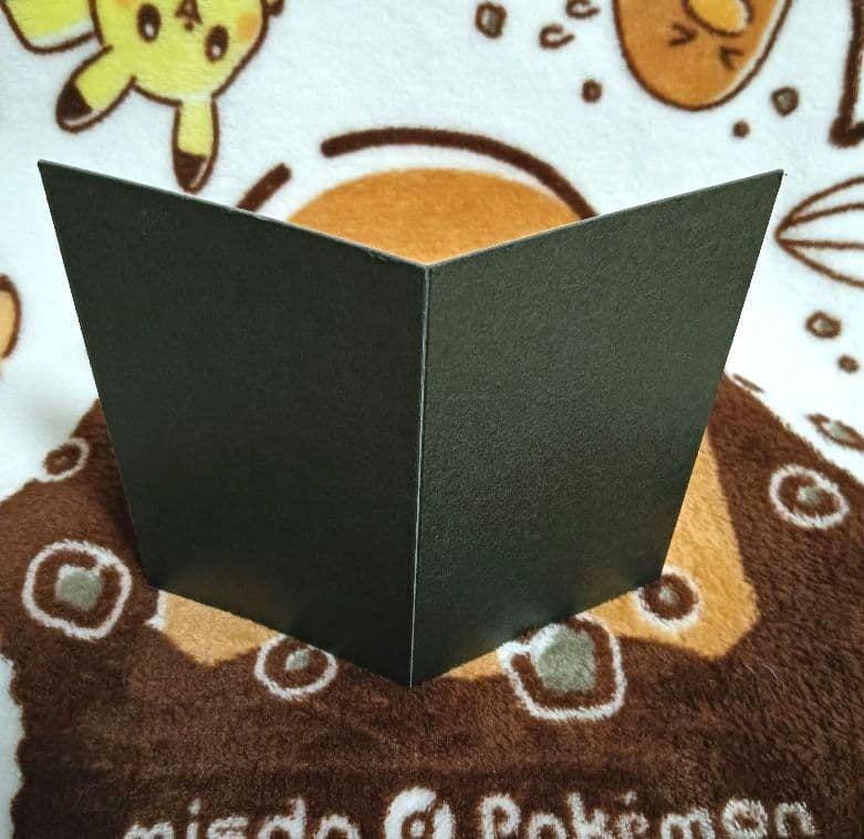 ポケモン　陶飾り ピカチュウとライコウ