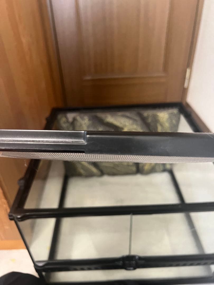 GEX グラステラリウム 4530 着払い