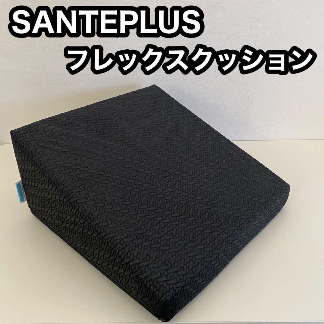 SANTEPLUS サンテプラス フレックスクッション ストレッチ エクササイズ