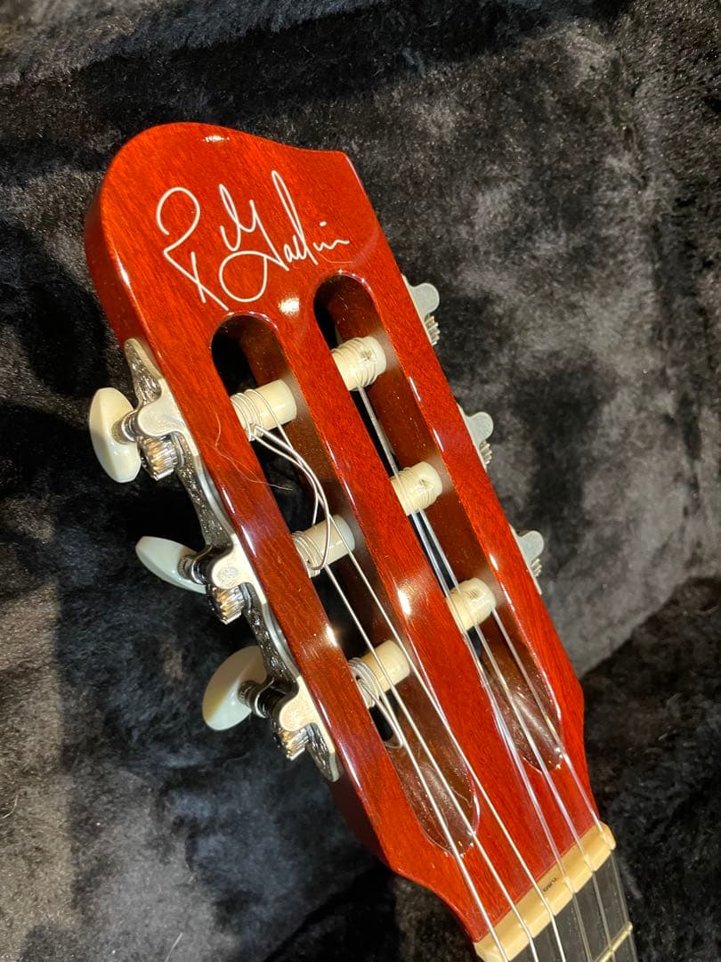 Godin ACSエレガット 25周年モデル 世界限定50本 デニムブルー