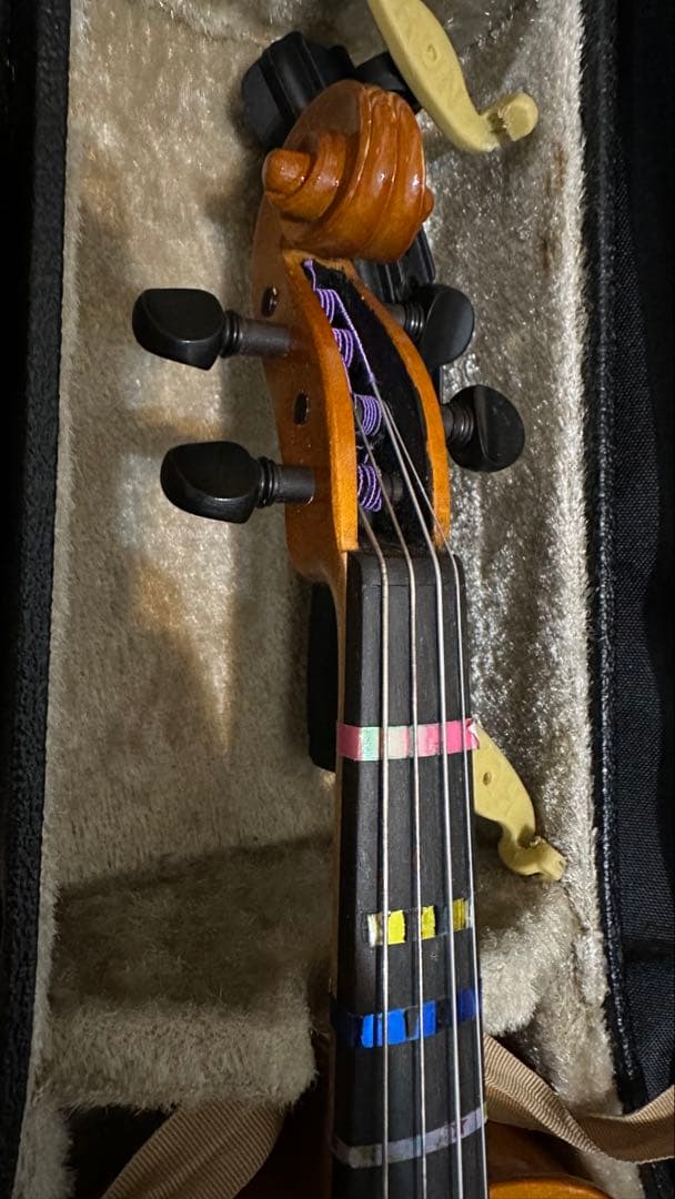 Roderich Paesold【バイオリンセット】 PA801J 1/4