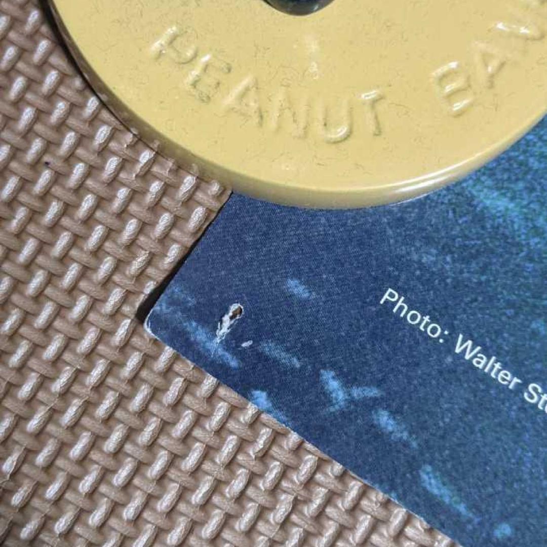 超希少品 非売品 91×61cm patagonia 大判 ポスター 厚紙