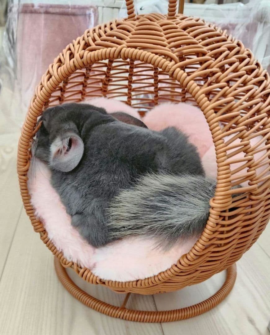 新品② チンチラ ハンキング ベッド ハウス モモンガ 小動物 子犬 ハンモッグ