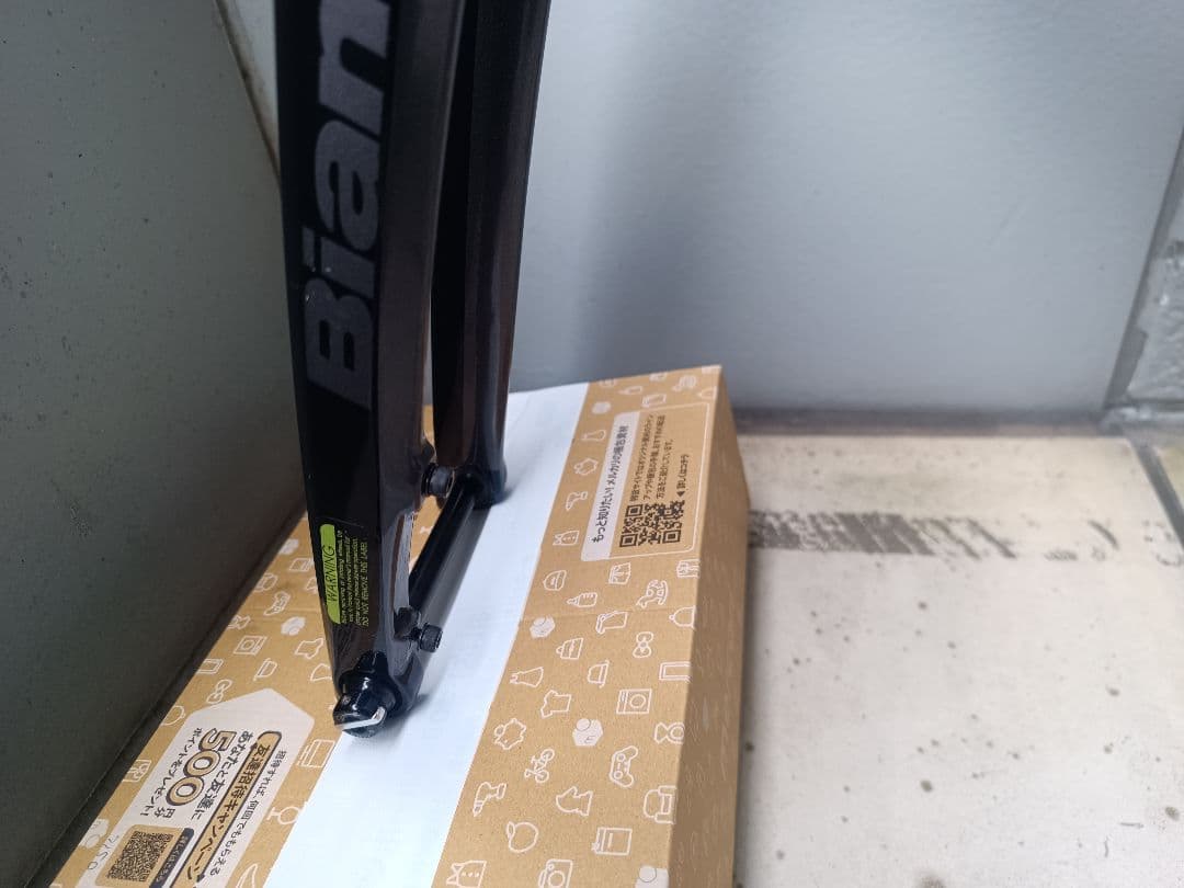 サルビア　Bianchi　インフィニートCV 53サイズ