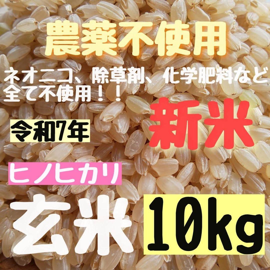 【綺麗な大粒揃い】農薬不使用 化学肥料不使用 除草剤不使用 ヒノヒカリ 玄米