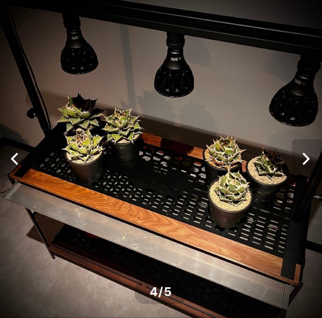 infinity Rack WPS 新品未使用品