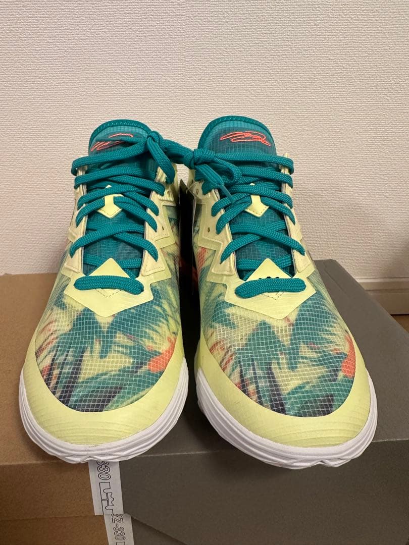 LEBRON XVIII LOW レブロン18ロウ　新品未使用