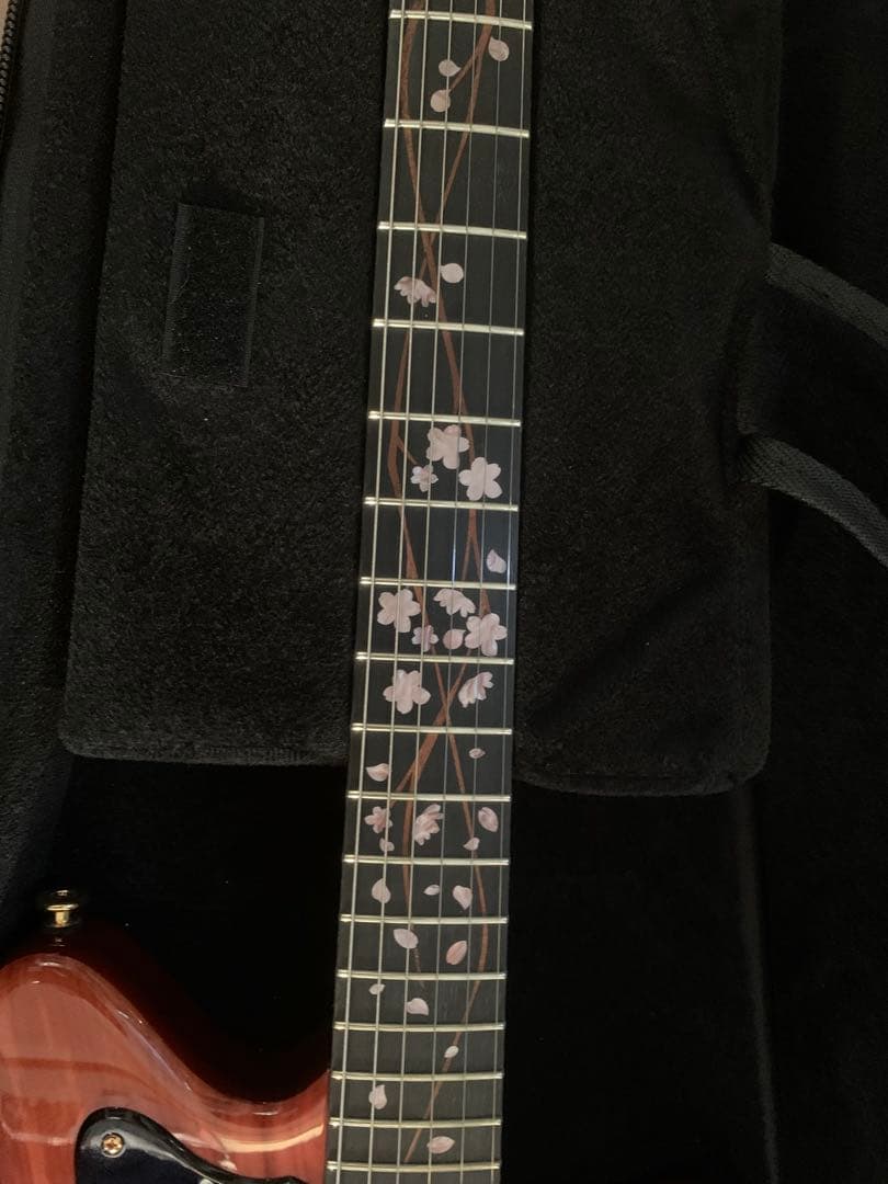 momose MJM-SHIDAREZAKURA SP’23/E 極上美品