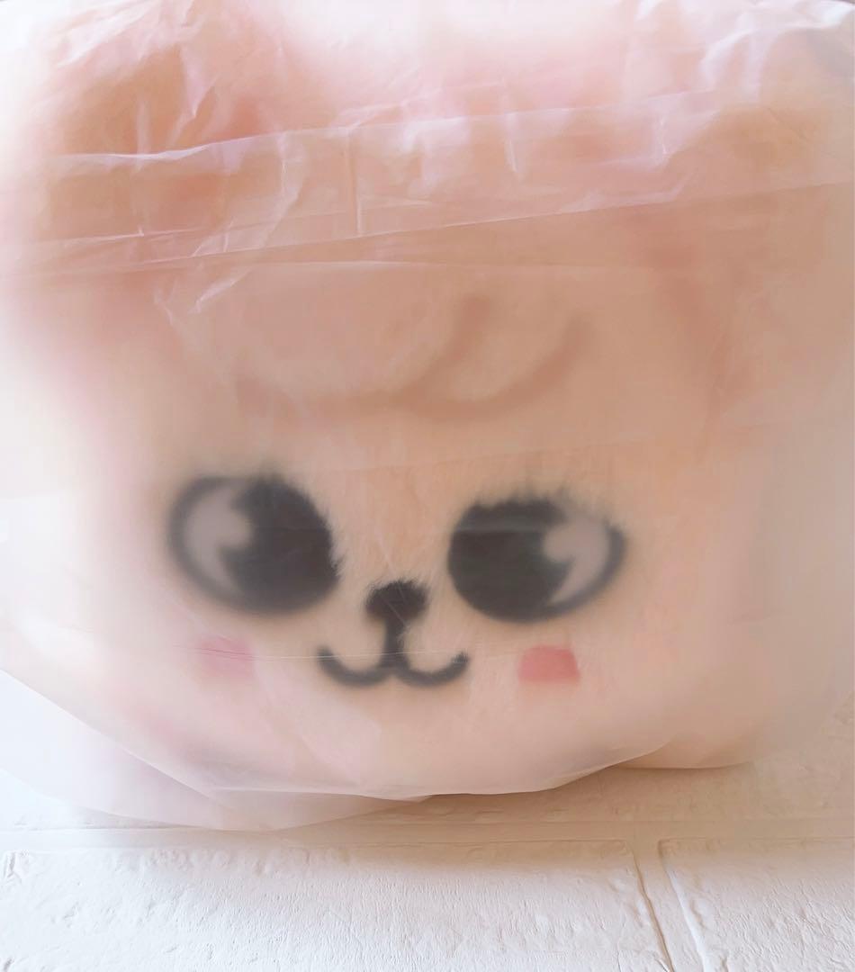 Stray kids SKZOO スキズ　メンプロ　パピームぬいぐるみ　スンミン