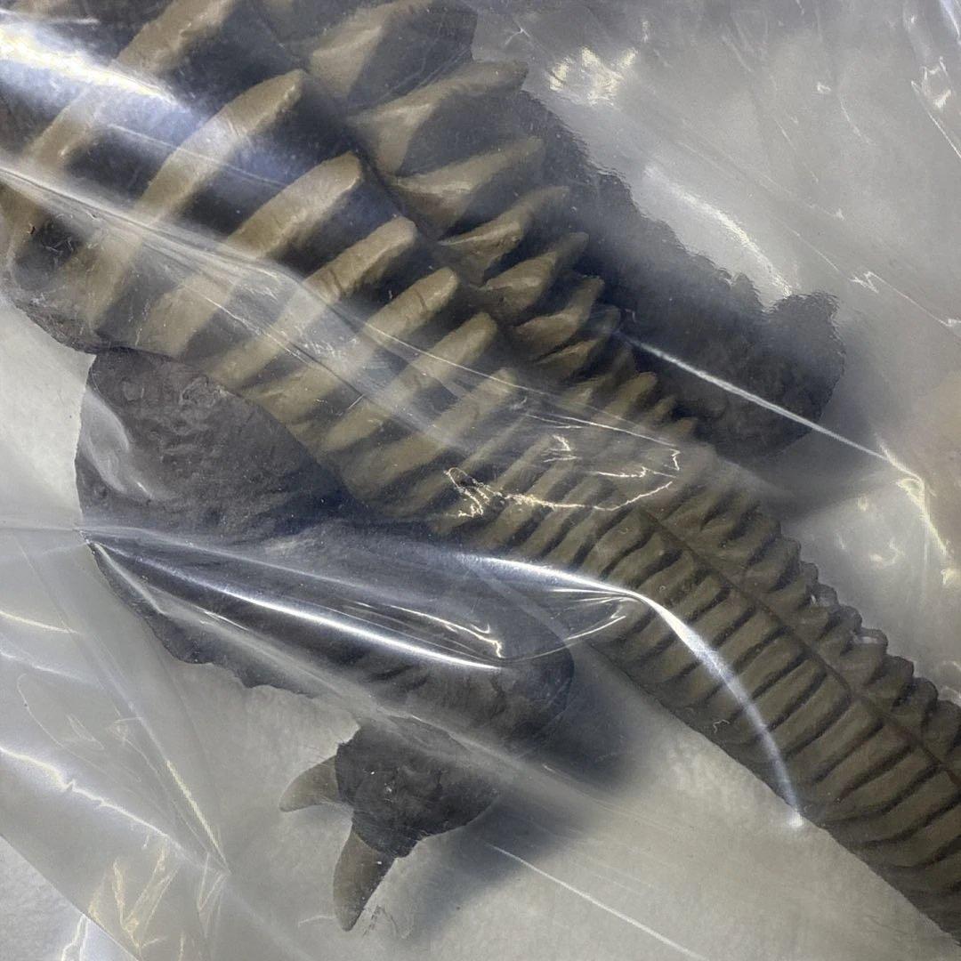 バラゴン　フランケンシュタインVS地底怪獣