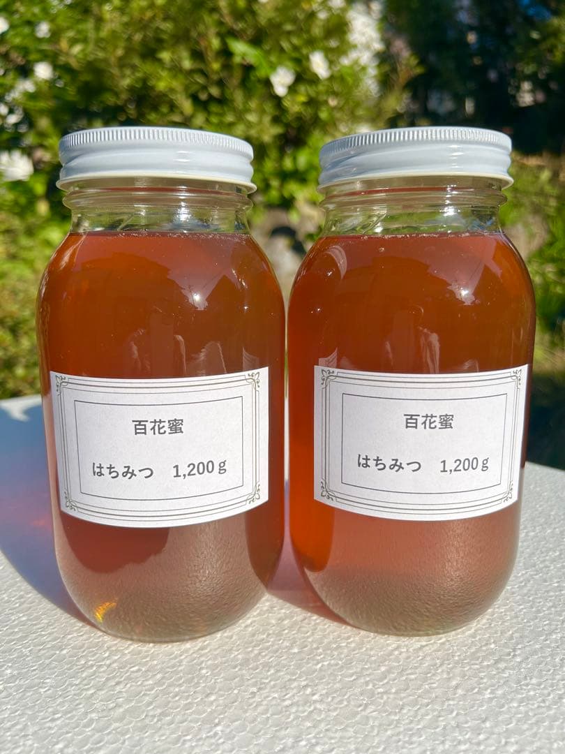 信州産　6月のはちみつ　1,200g×2本　野薔薇やトチノキなど