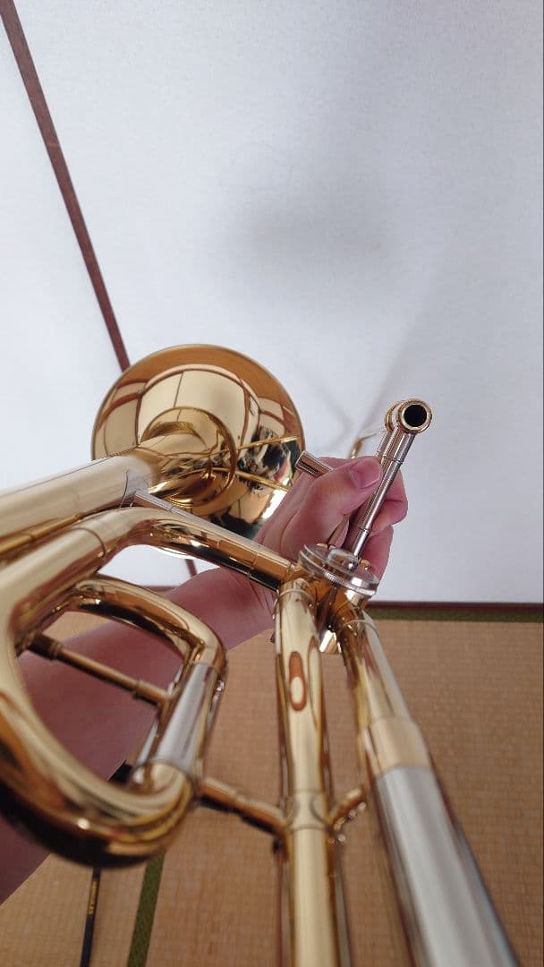 PLAYTECH PTSL-301？ テナーバストロンボーン(細管)　※改造品