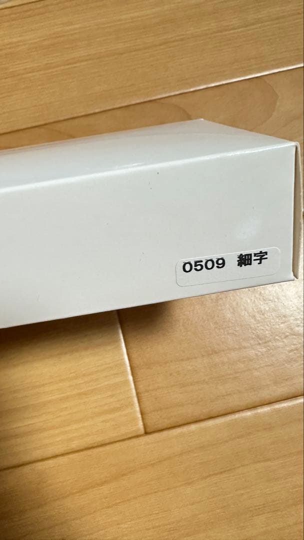 PLATINUM プラチナ 万年筆 #3776 西 sai センチュリー　細字