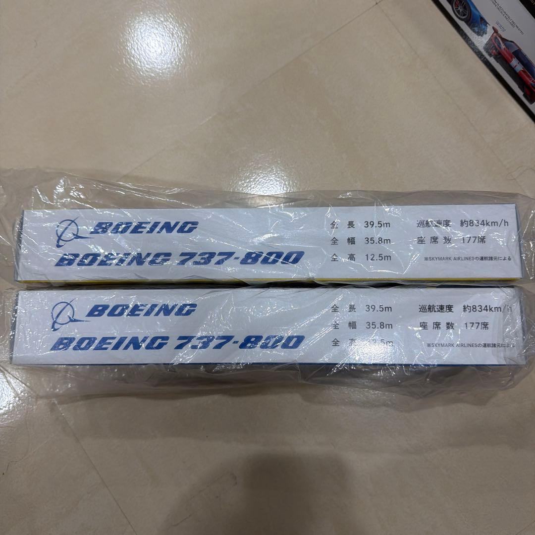 Pikachu Jet BC2 ボーイング737-800 ピカチュージェット