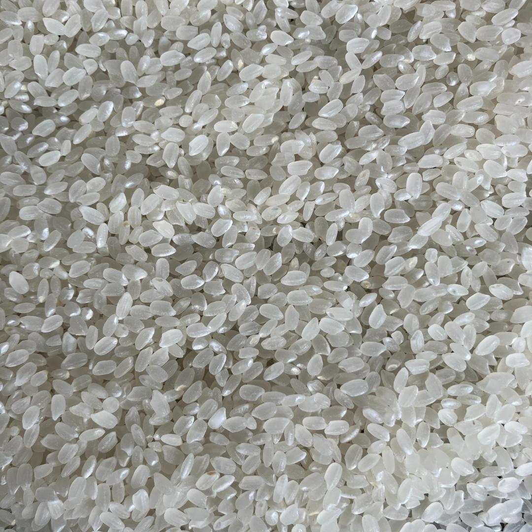 魚沼産コシヒカリ　令和7年産　白米　10キロ　米農家直送③