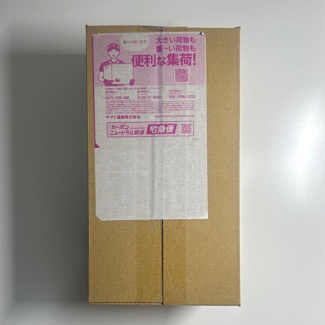 【未開封・シュリンク・納品書あり】 ポケモンセンター ヒロシマ スペシャルBOX