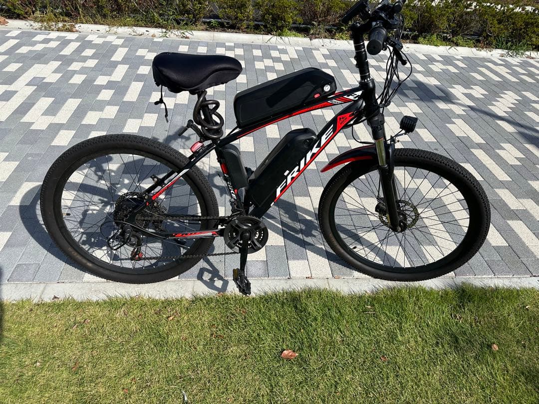 電動アシスト自転車 BRANJAY 電動自転車 ダブルバッテリー (FRIKE)