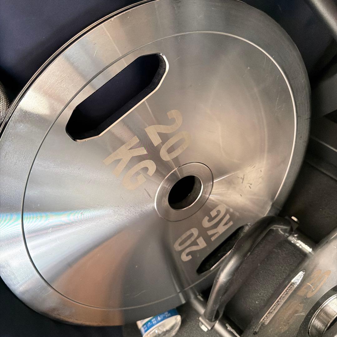 20kg ダンベルプレート シルバー/紫