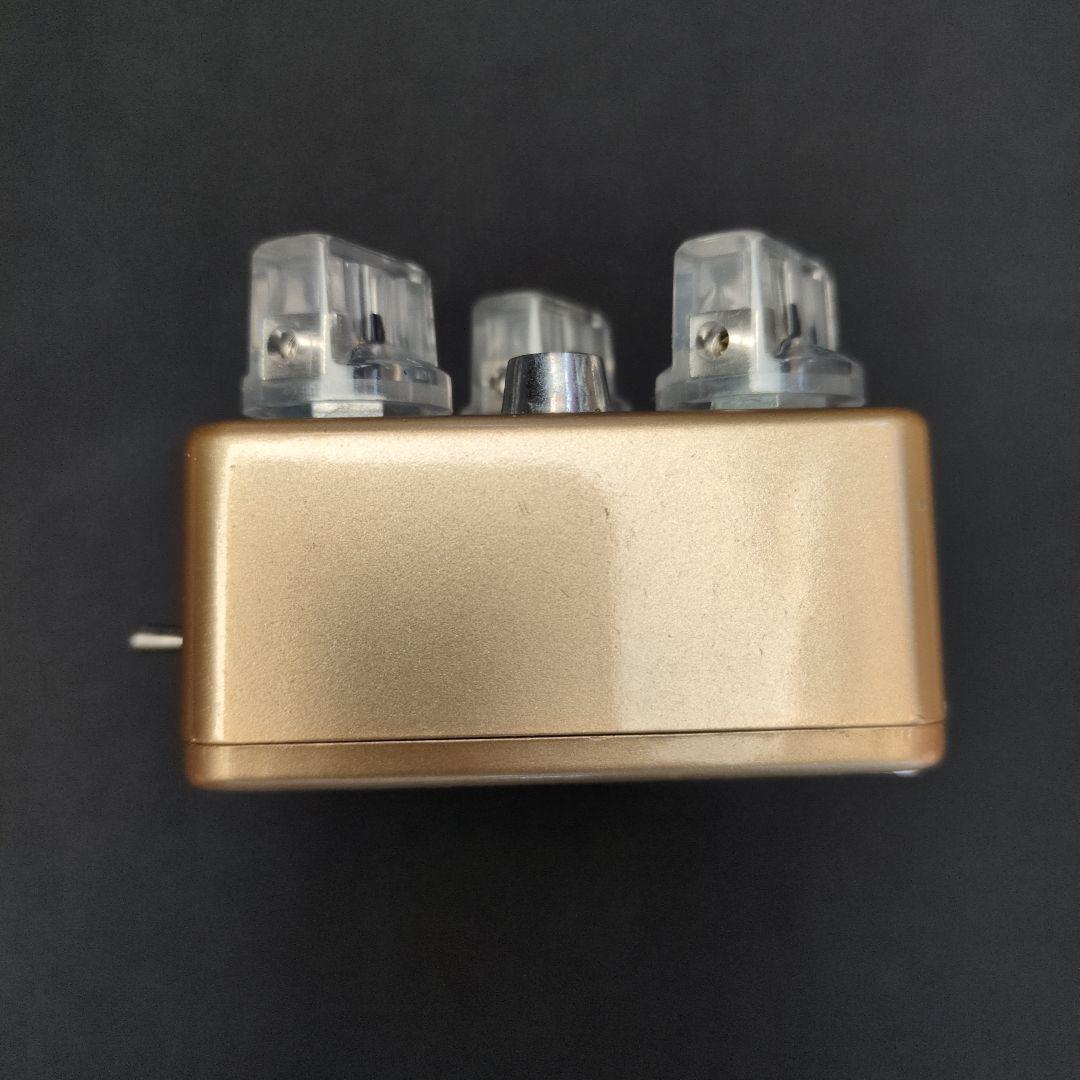 ギター Vivie FenneComp