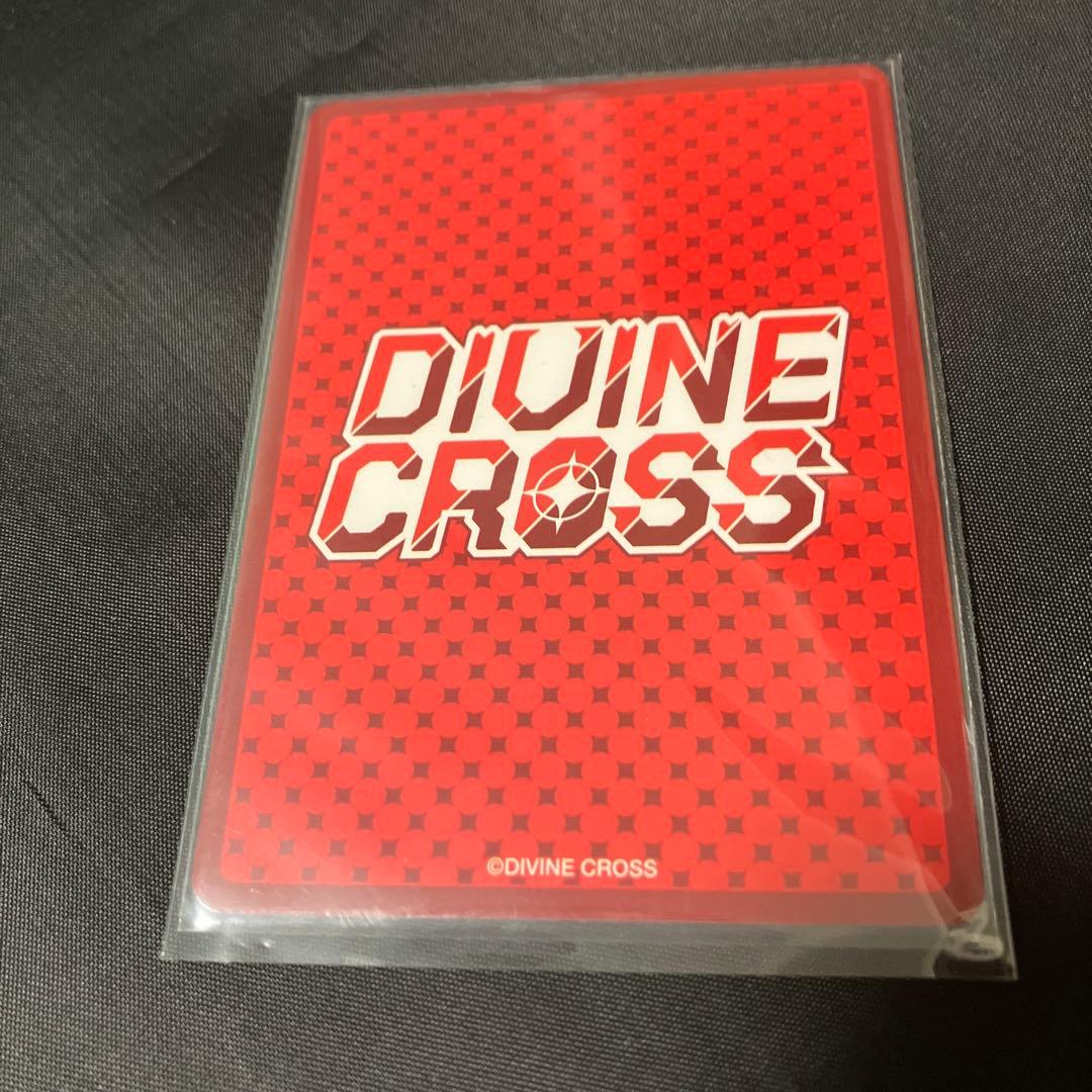 ディヴァインクロス　バニーガーデン　密着ハグ 花奈 SEC Partner