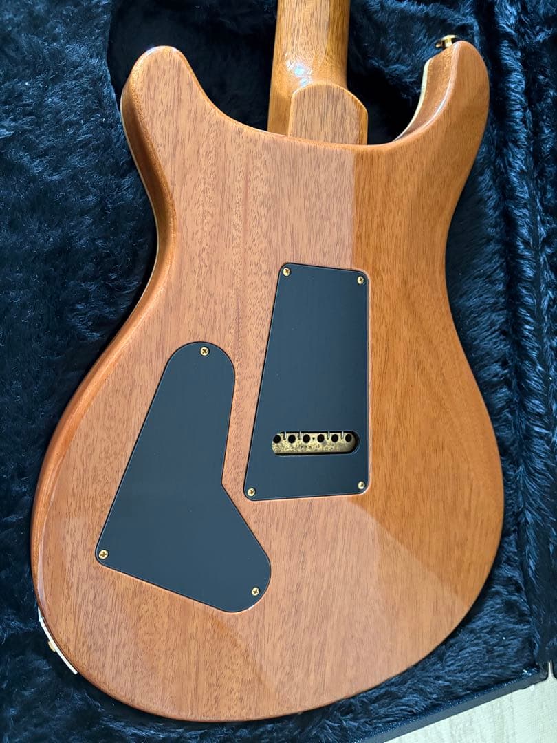 PRS Custom24 10Top 2018年式