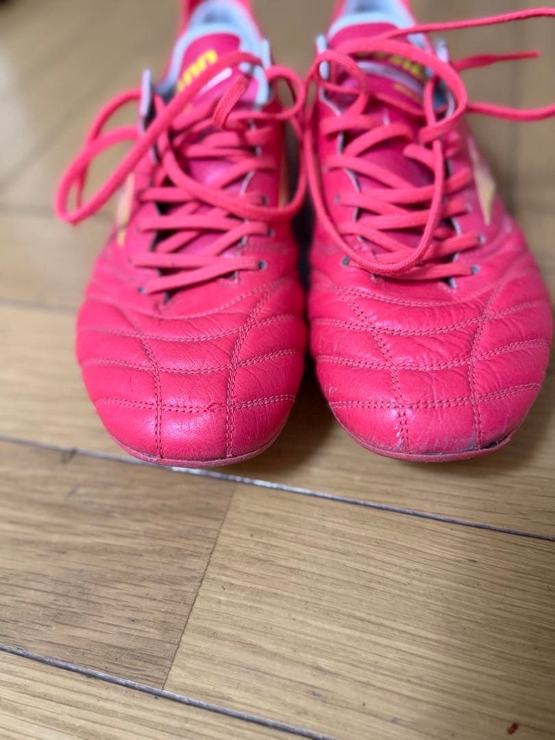 ヤンコレル様。