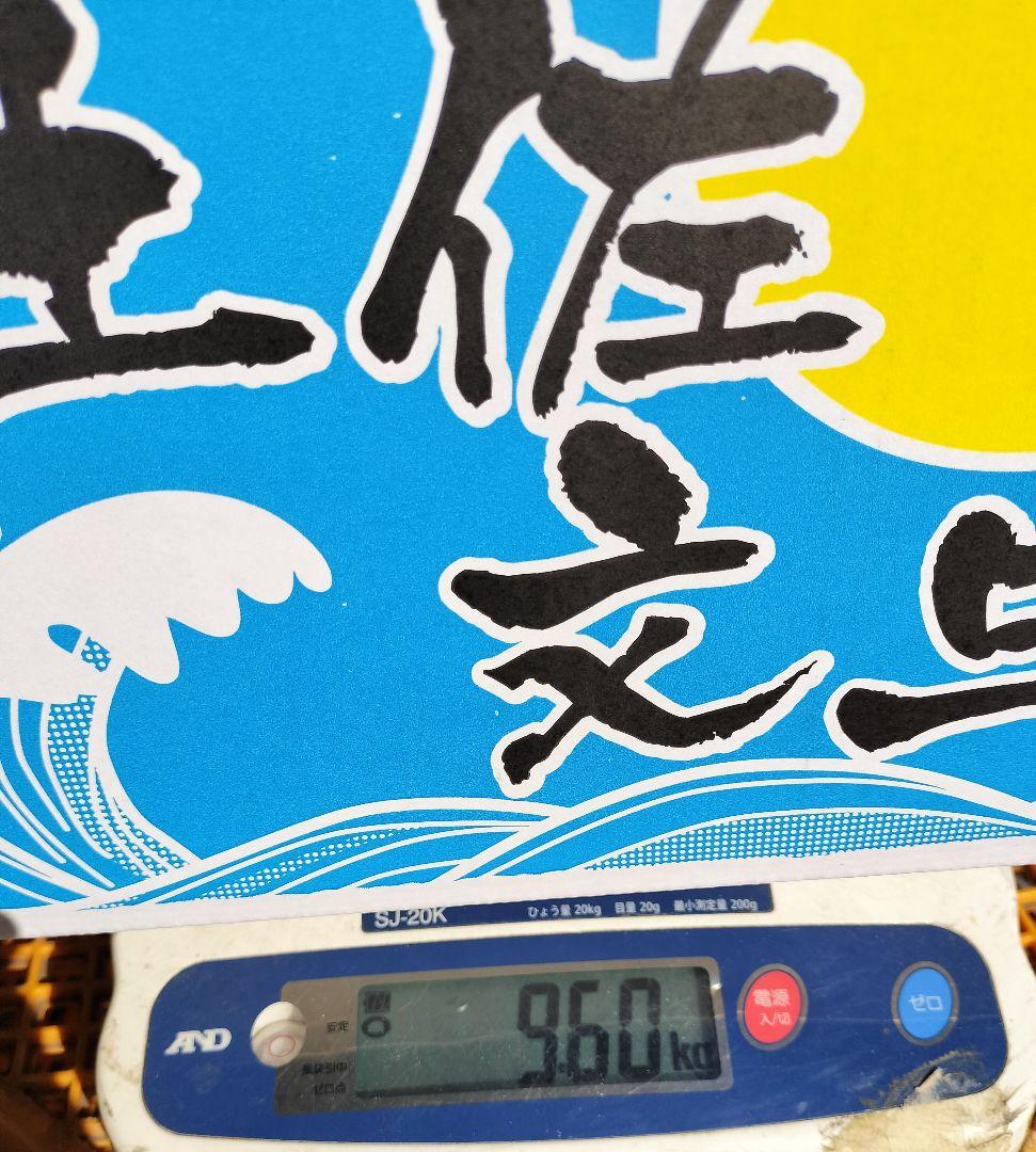 高知産　温室大玉水晶文旦　２８～14玉前後　約９,5ｋｇ　北海道沖縄発送不可