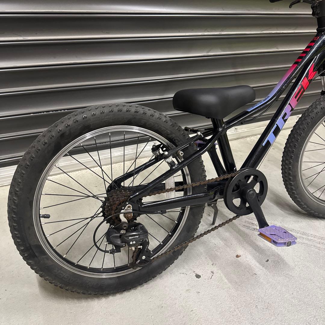 トレック　『PRECALIBER 20』　ブラック／パープル