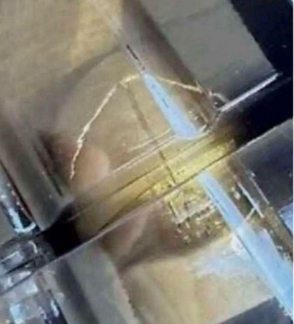 大谷翔平　デコピン　ボブルヘッド　ゴールド　来場者限定　1700体　新品