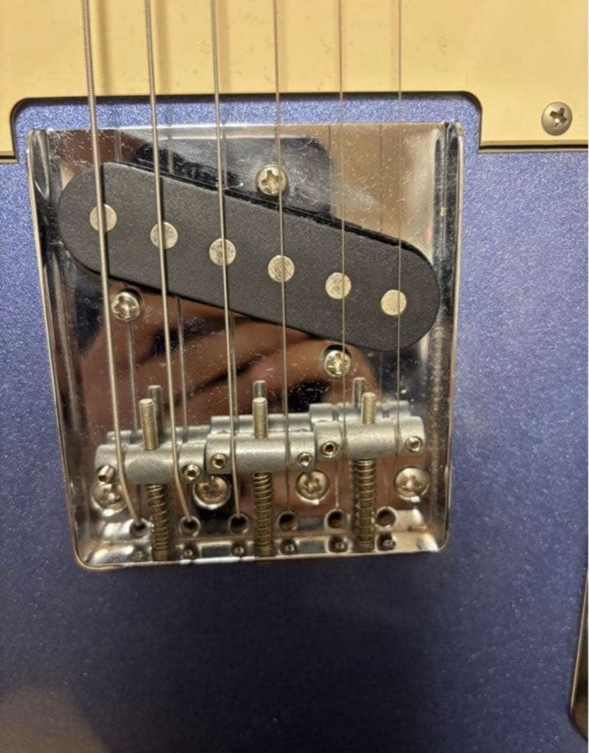 希少　Bacchus テレキャスター　バインディング　青