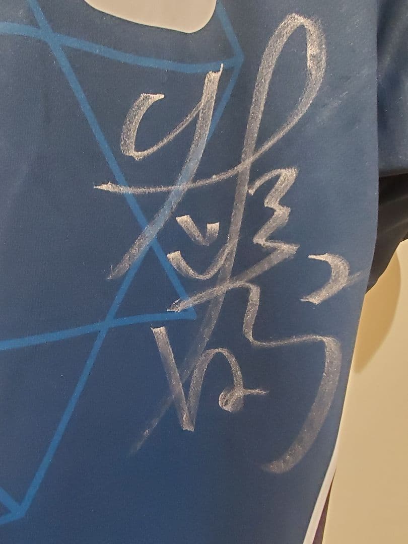 NECレッドロケッツ 佐藤淑乃 直筆サイン入りユニフォーム バレーボール日本代表