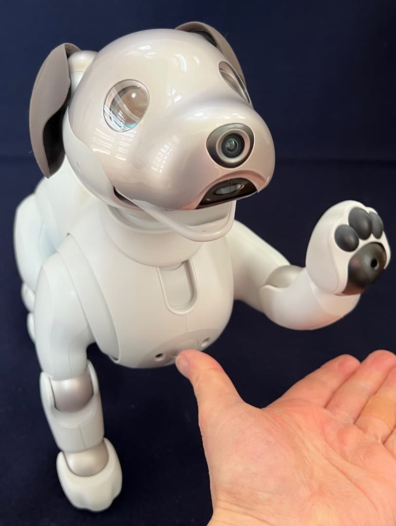 美品　期間限定　ソニーアイボAIBO　アイボリーホワイト　動作確認済【匿名配送】