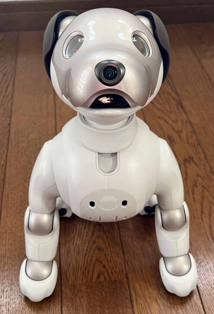 美品　期間限定　ソニーアイボAIBO　アイボリーホワイト　動作確認済【匿名配送】