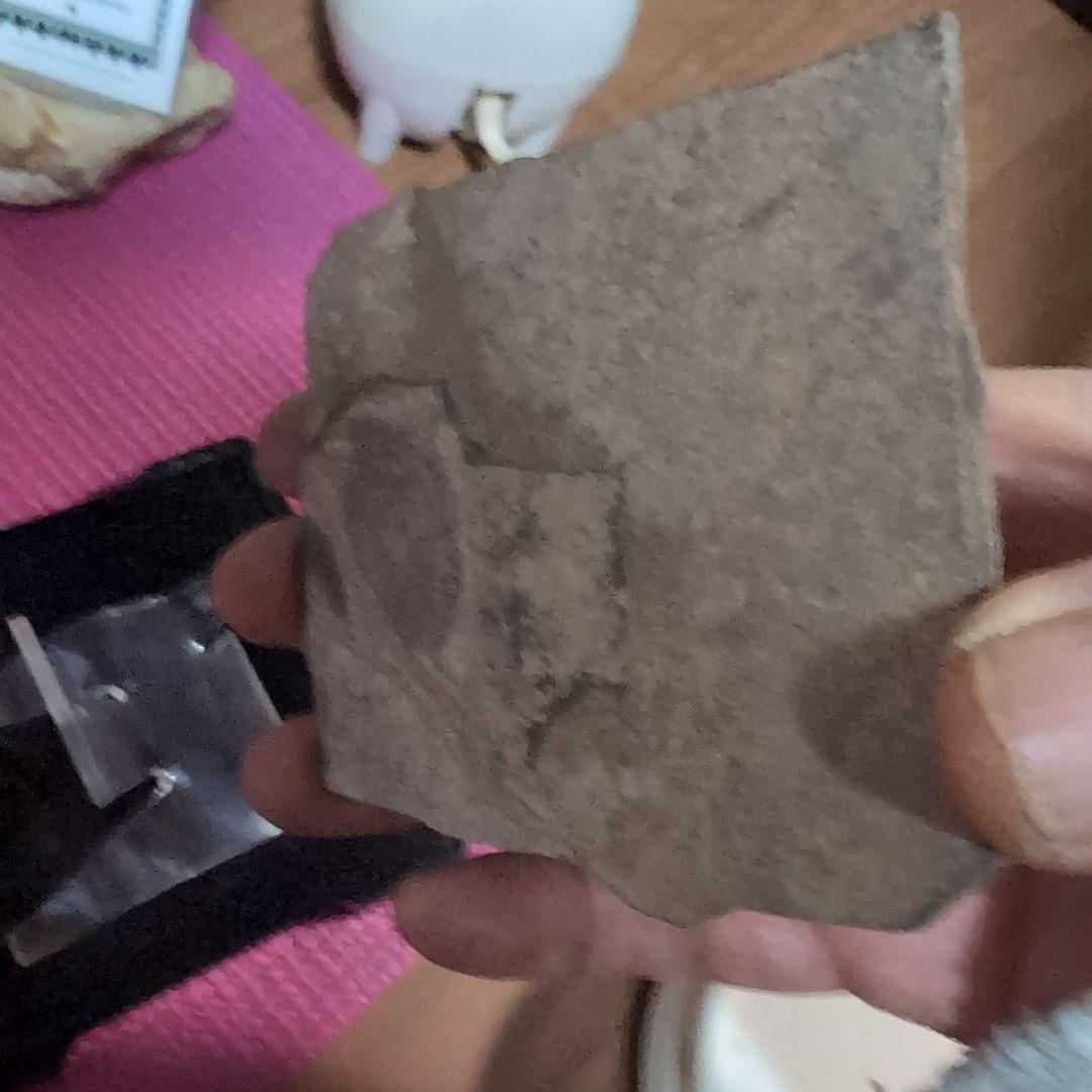 古生代ベルム紀前期　両生類ブランキオサウルス　化石　ドイツ　ラベル　専用台座付き