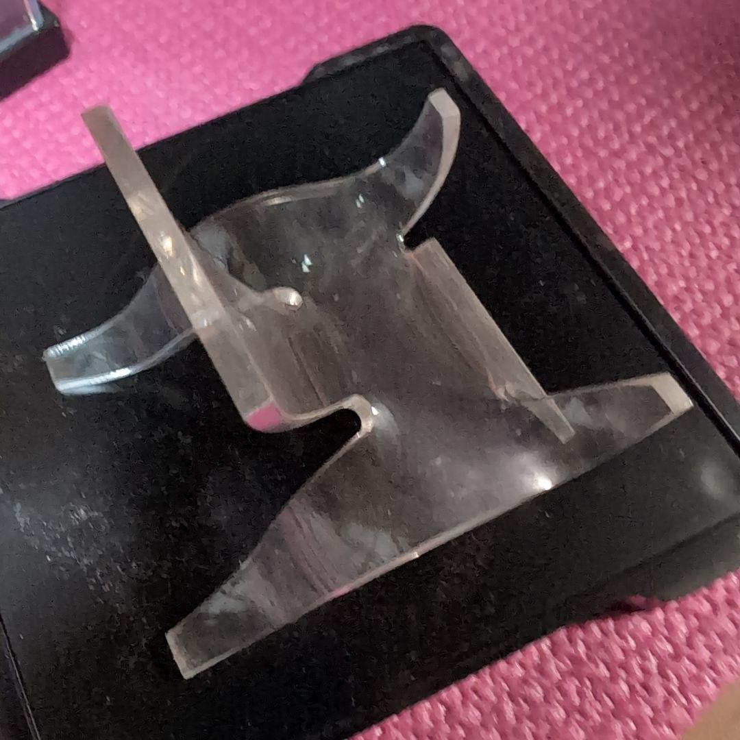 古生代ベルム紀前期　両生類ブランキオサウルス　化石　ドイツ　ラベル　専用台座付き